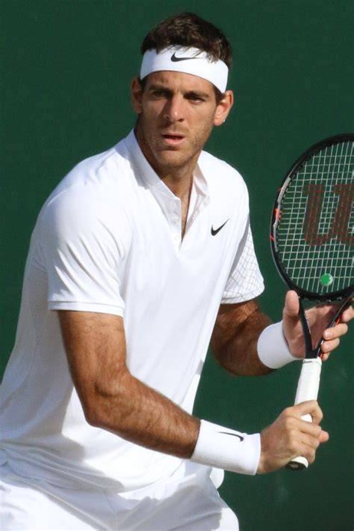 Juan Martin del Potro Juan Martin del Potro