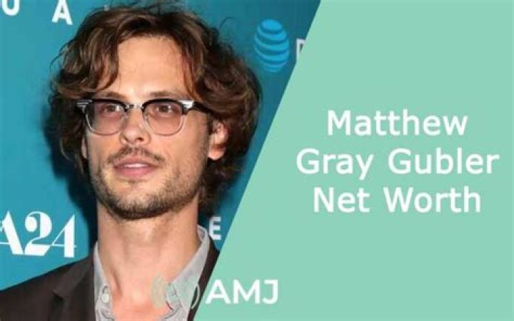 Matthew Gray Nelson Net Worth 2024