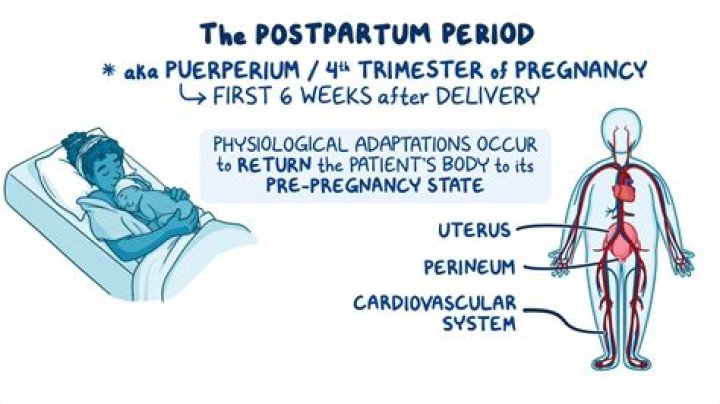 What is the normal puerperium?